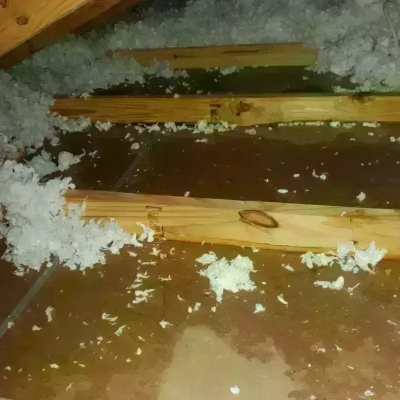 Attic Water Damage in Aberdeen Proving Ground, MD