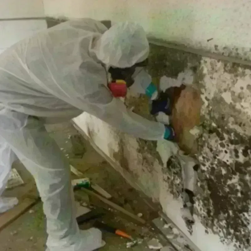 Mold Remediation and Removal in Aberdeen Proving Ground, MD